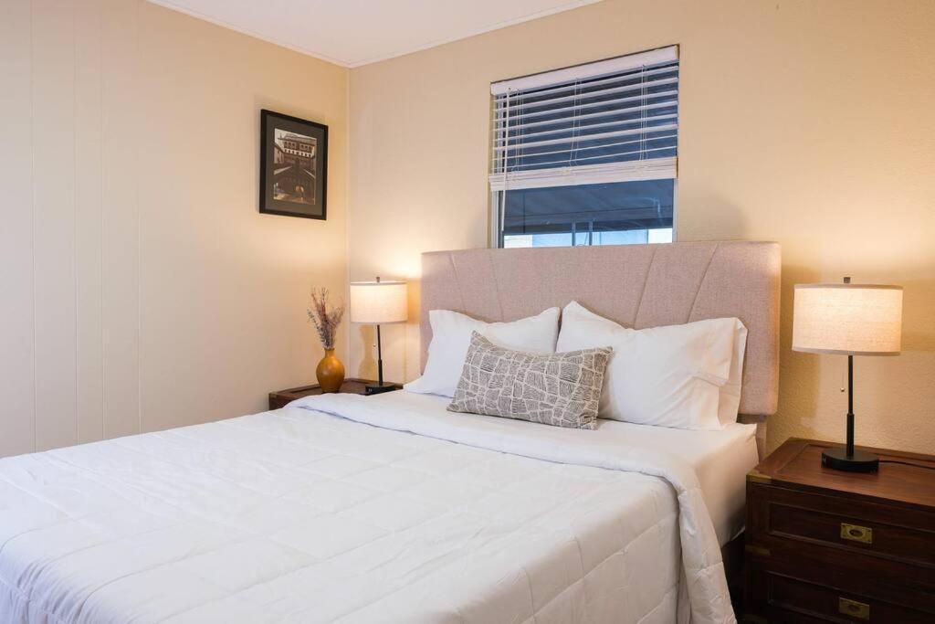 House Near Tampa Zoo And Busch Gardens, Free High Speed Wifi Villa Exteriör bild