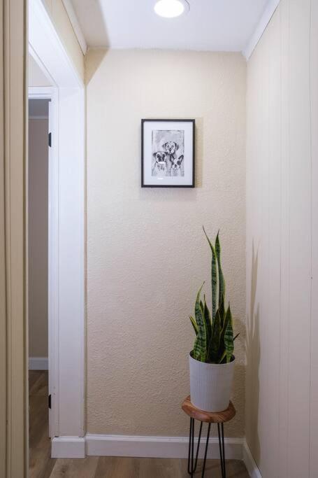 House Near Tampa Zoo And Busch Gardens, Free High Speed Wifi Villa Exteriör bild